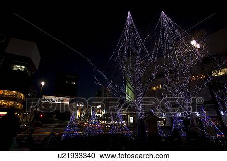 Stock Image - Tree Decorated with Winter Lights. Fotosearch