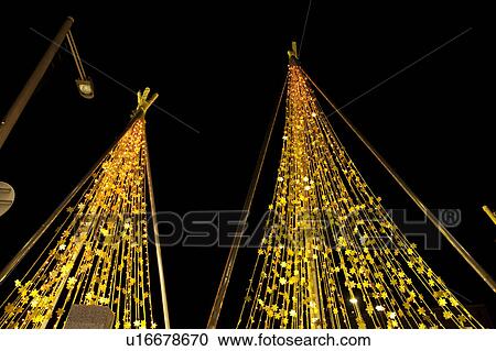 Trees with Yukitsuri Support Decorated with Lights View Large Photo Image Stock Image - Trees with Yukitsuri Support Decorated with Lights. Fotosearch