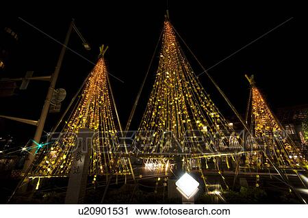 Trees with Yukitsuri Support Decorated with Lights View Large Photo Image Stock Image - Trees with Yukitsuri Support Decorated with Lights. Fotosearch