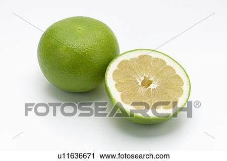 Stock Image - Two oroblancos. Fotosearch