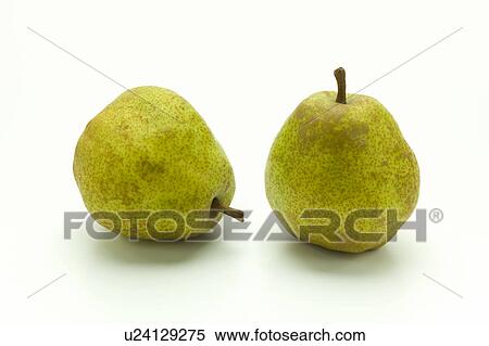 Stock Photography - Two pears. Fotosearch