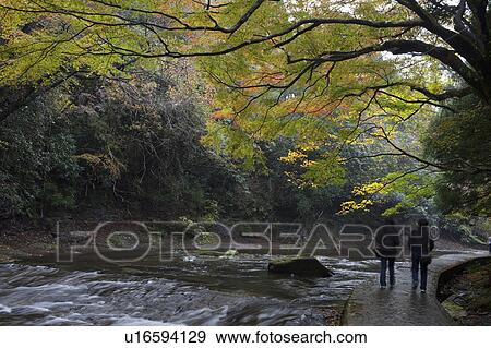 Two People Walking Down Footpath View Large Photo Image Stock Photo - Two People Walking Down Footpath. Fotosearch