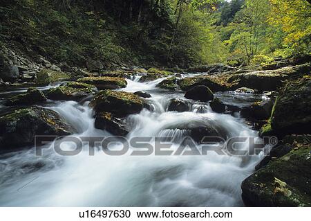 Waterfall, Gunma Prefecture, Honshu, Japan View Large Photo Image Stock Image - Waterfall, Gunma Prefecture, Honshu, Japan. Fotosearch
