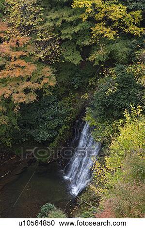 Stock Image - Waterfall in Autumn. Fotosearch