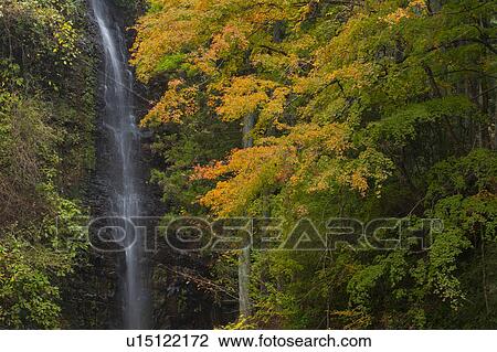 Stock Image - Waterfall Surrounded by Autumnal Trees. Fotosearch
