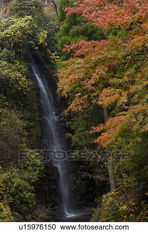 Stock Image - Waterfall Surrounded by Autumnal Trees. Fotosearch