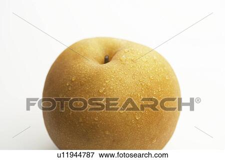 Stock Photo - Wet Asian Pear. Fotosearch