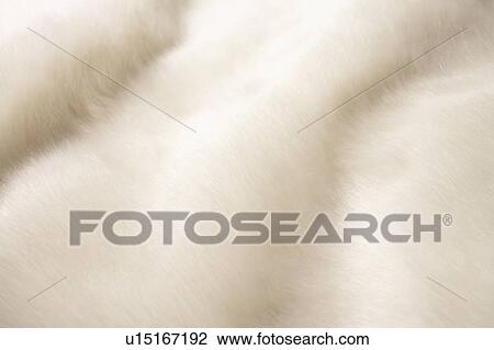 White Fur View Large Photo Image Stock Image - White Fur. Fotosearch
