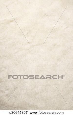 Stock Photo - White Fur. Fotosearch