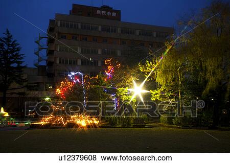 Winter Lights in Park View Large Photo Image Stock Photo - Winter Lights in Park. Fotosearch