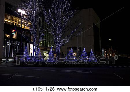 Stock Photograph - Winter Lights on Trees. Fotosearch