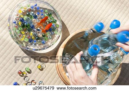 Stock Photo - Woman taking out a bottle of soda from a bucket. Fotosearch