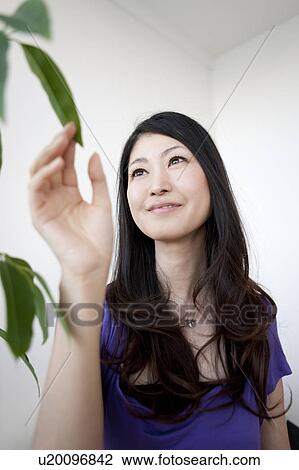 Woman touching leaf of potted houseplant View Large Photo Image Stock Image - Woman touching leaf of potted houseplant. Fotosearch