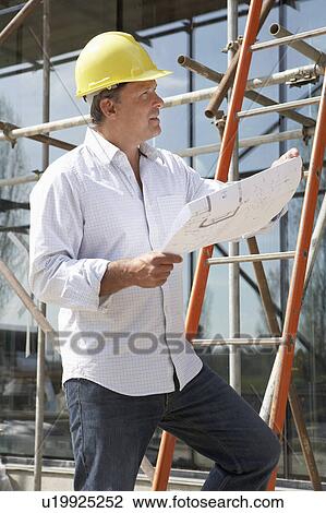 Architect Studying Plans Outside New Home View Large Photo Image Stock Image - Architect Studying Plans Outside New Home. Fotosearch