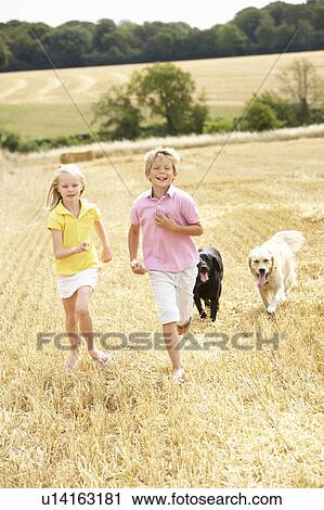 Children With Dogs Running Through Summer Harvested Field View Large Photo Image Stock Image - Children With Dogs Running Through Summer Harvested Field. Fotosearch