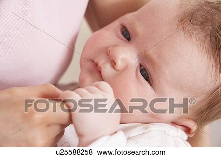 Close Up Of Baby Boy Holding Mothers Hand View Large Photo Image Stock Photo - Close Up Of Baby Boy Holding Mothers Hand. Fotosearch