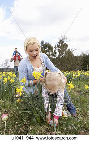 Family On Easter Egg Hunt In Daffodil Field View Large Photo Image Picture - Family On Easter Egg Hunt In Daffodil Field. Fotosearch
