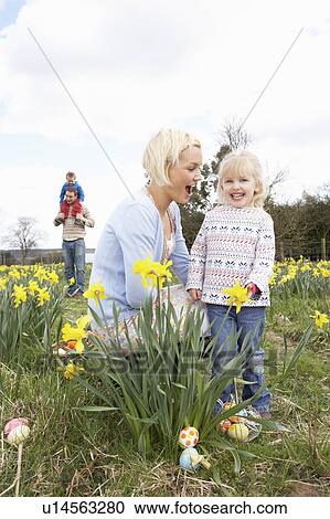 Family On Easter Egg Hunt In Daffodil Field View Large Photo Image Stock Image - Family On Easter Egg Hunt In Daffodil Field. Fotosearch