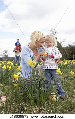 Family On Easter Egg Hunt In Daffodil Field View Large Photo Image Stock Image - Family On Easter Egg Hunt In Daffodil Field. Fotosearch