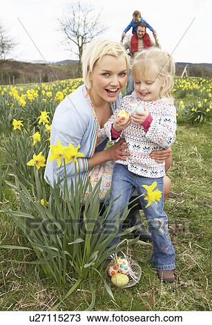 Family On Easter Egg Hunt In Daffodil Field View Large Photo Image Stock Image - Family On Easter Egg Hunt In Daffodil Field. Fotosearch