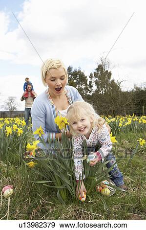 Family On Easter Egg Hunt In Daffodil Field View Large Photo Image Stock Photo - Family On Easter Egg Hunt In Daffodil Field. Fotosearch