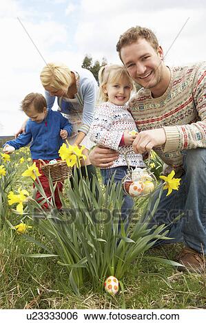 Family On Easter Egg Hunt In Daffodil Field View Large Photo Image Stock Photograph - Family On Easter Egg Hunt In Daffodil Field. Fotosearch