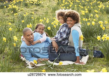 Family Relaxing In Field Of Spring Daffodils View Large Photo Image Picture - Family Relaxing In Field Of Spring Daffodils. Fotosearch