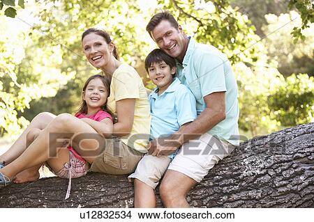 Family Sitting On Tree In Park View Large Photo Image Picture - Family Sitting On Tree In Park. Fotosearch