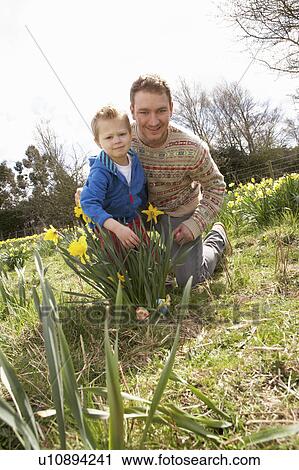 Father And Son On Easter Egg Hunt In Daffodil Field View Large Photo Image Stock Image - Father And Son On Easter Egg Hunt In Daffodil Field. Fotosearch