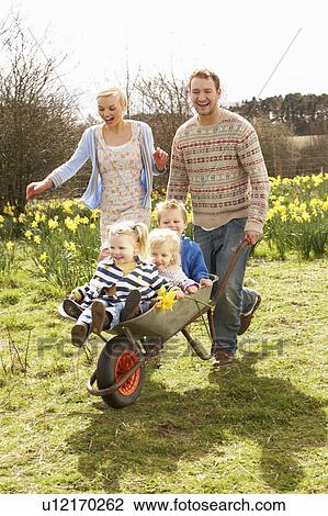 Father Giving Children Ride In Wheelbarrow Through Field Of Spring Daffodils View Large Photo Image Stock Image - Father Giving Children Ride In Wheelbarrow Through Field Of Spring Daffodils. Fotosearch