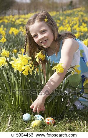 Girl On Easter Egg Hunt In Daffodil Field View Large Photo Image Stock Image - Girl On Easter Egg Hunt In Daffodil Field. Fotosearch