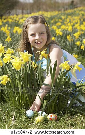 Girl On Easter Egg Hunt In Daffodil Field View Large Photo Image Stock Image - Girl On Easter Egg Hunt In Daffodil Field. Fotosearch