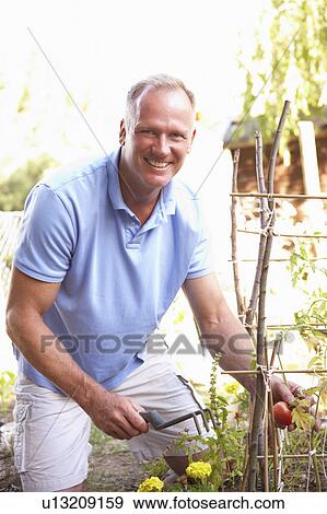Man Relaxing In Garden View Large Photo Image Stock Photo - Man Relaxing In Garden. Fotosearch