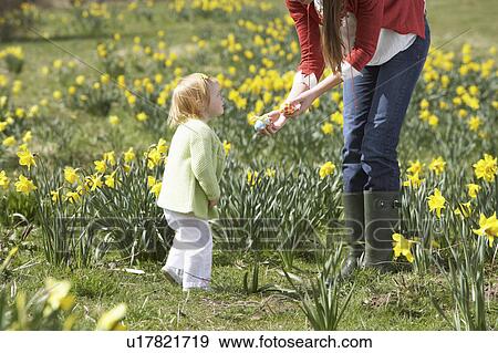 Mother And Daughter In Daffodil Field With Decorated Easter Eggs View Large Photo Image Stock Photo - Mother And Daughter In Daffodil Field With Decorated Easter Eggs. Fotosearch