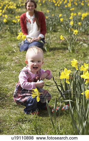 Stock Photo - Mother And Daughter In Daffodil Field With Decorated Easter Eggs. Fotosearch