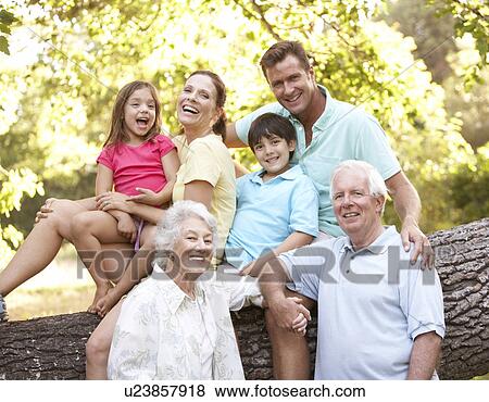 Portrait Of Extended Family Group In Park View Large Photo Image Stock Photo - Portrait Of Extended Family Group In Park. Fotosearch