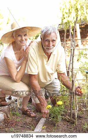 Senior Couple Relaxing In Garden View Large Photo Image Picture - Senior Couple Relaxing In Garden. Fotosearch