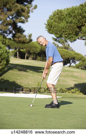 Senior Male Golfer On Golf Course Putting On Green View Large Photo Image Stock Photograph - Senior Male Golfer On Golf Course Putting On Green. Fotosearch