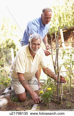 Senior Man And Adult Son Relaxing In Garden View Large Photo Image Stock Photography - Senior Man And Adult Son Relaxing In Garden. Fotosearch