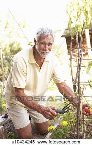 Stock Photography - Senior Man Relaxing In Garden. Fotosearch