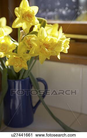 Stock Image - Vase Of Daffodils In Blue Jug On Window Sill. Fotosearch