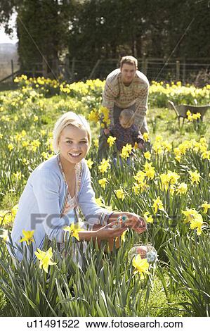 Stock Image - Woman Hiding Decorated Easter Eggs For Hunt Amongst Daffodils. Fotosearch