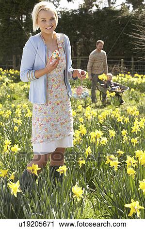 Woman Hiding Decorated Easter Eggs For Hunt Amongst Daffodils View Large Photo Image Stock Image - Woman Hiding Decorated Easter Eggs For Hunt Amongst Daffodils. Fotosearch