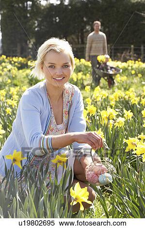 Woman Hiding Decorated Easter Eggs For Hunt Amongst Daffodils View Large Photo Image Stock Photography - Woman Hiding Decorated Easter Eggs For Hunt Amongst Daffodils. Fotosearch