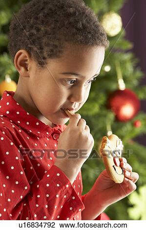 Young Boy Eating Cookie In Front Of Christmas Tree View Large Photo Image Stock Image - Young Boy Eating Cookie In Front Of Christmas Tree. Fotosearch