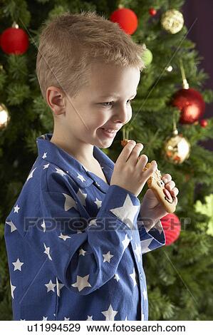 Young Boy Eating Cookie In Front Of Christmas Tree View Large Photo Image Stock Photo - Young Boy Eating Cookie In Front Of Christmas Tree. Fotosearch