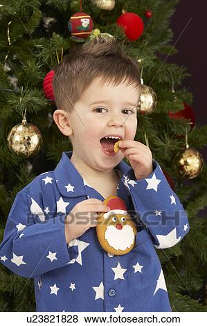 Stock Photo - Young Boy Eating Cookie In Front Of Christmas Tree. Fotosearch