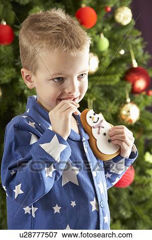 Stock Photo - Young Boy Eating Cookie In Front Of Christmas Tree. Fotosearch