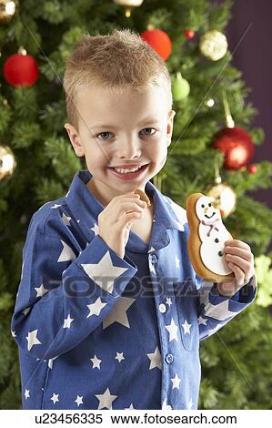Young Boy Eating Cookie In Front Of Christmas Tree View Large Photo Image Stock Photography - Young Boy Eating Cookie In Front Of Christmas Tree. Fotosearch