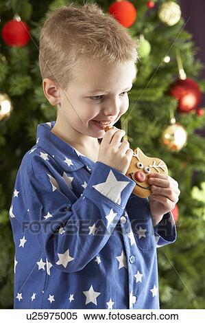 Young Boy Eating Cookie In Front Of Christmas Tree View Large Photo Image Stock Photography - Young Boy Eating Cookie In Front Of Christmas Tree. Fotosearch